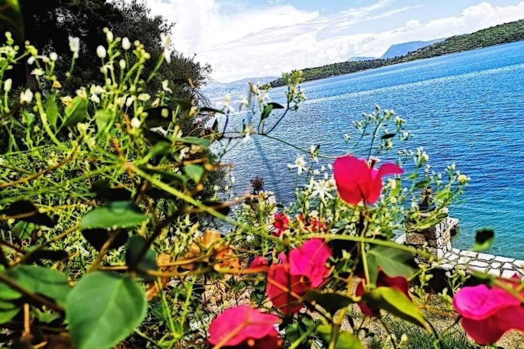 Villa Violeta Lefkada Nydri Экстерьер фото