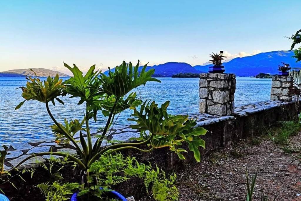 Villa Violeta Lefkada Nydri Экстерьер фото