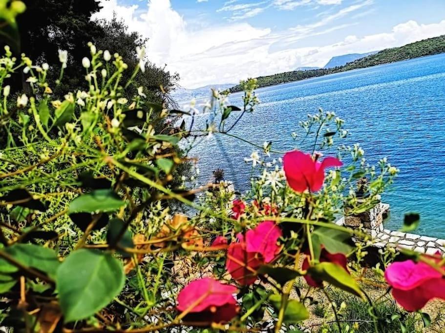 Villa Violeta Lefkada Nydri Экстерьер фото